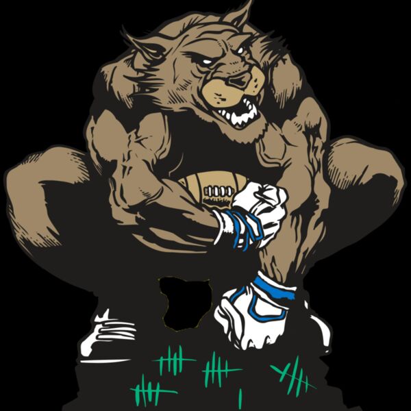 AR WILDCAT 34 RC Thumbnail