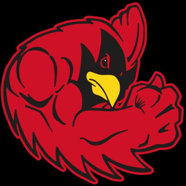 AR CARDINAL 29 RC Thumbnail