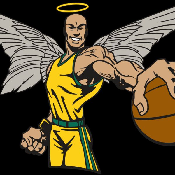 AR17 ANGEL BSKT 06 RQC Thumbnail