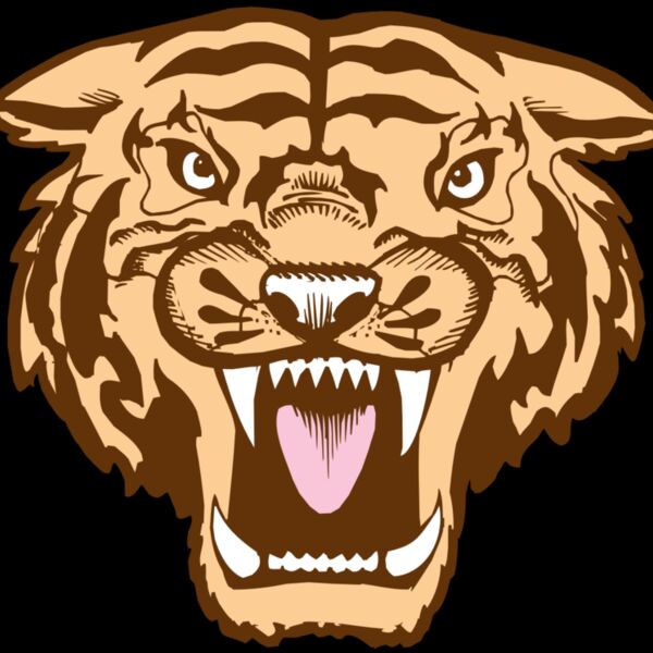 BAW TIGER 05 RC Thumbnail