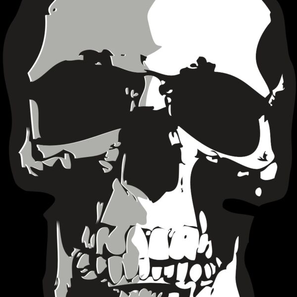 AR24 SKULL 01 RQC Thumbnail