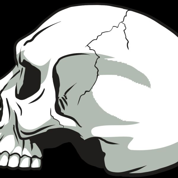 AR24 SKULL 11 RQC Thumbnail