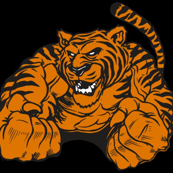 AR TIGER 55 RC Thumbnail