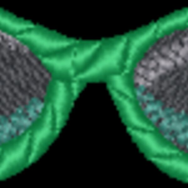 NZ263 Thumbnail