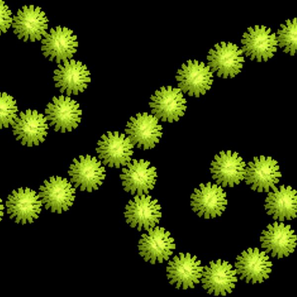 320896 Thumbnail