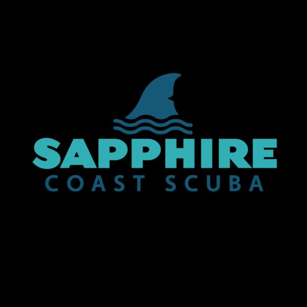 Shark Fin Above Logo colour old logo 1  1  Thumbnail